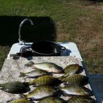 Pokegama Creek Campground