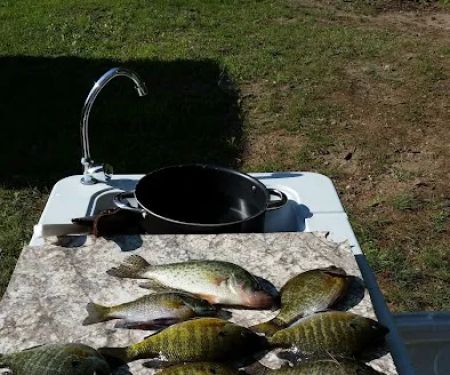 Pokegama Creek Campground