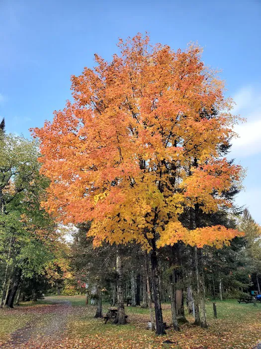 Michigamme Shores Campground 6