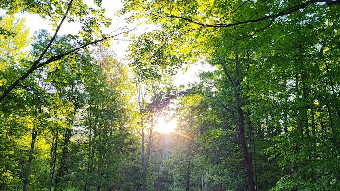 Sturgeon River Campground 7