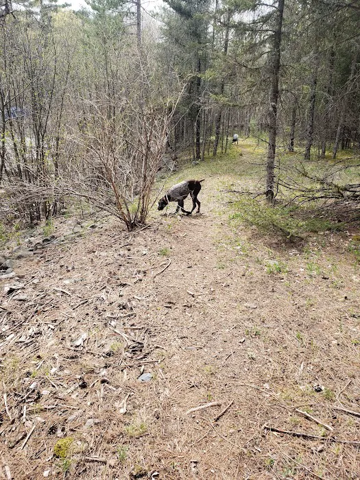 Sturgeon River Campground 8