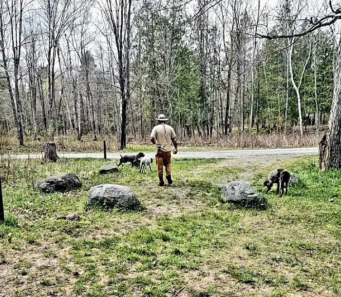 Sturgeon River Campground 10