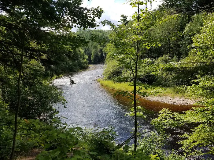 Sturgeon River Campground 5
