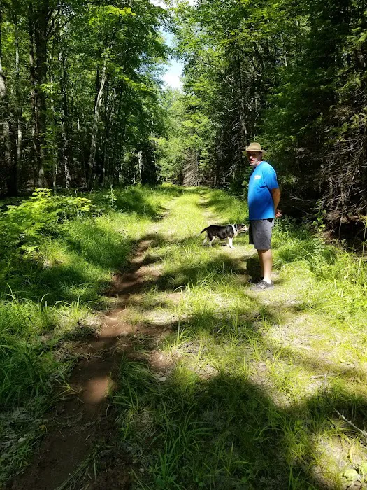 Sturgeon River Campground 4