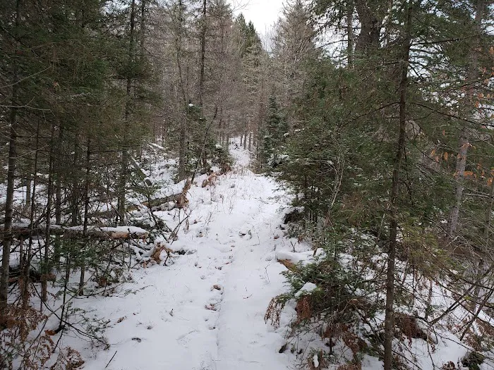 Sparrow Rapids Campground 8