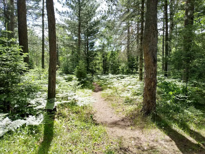 Sparrow Rapids Campground 9