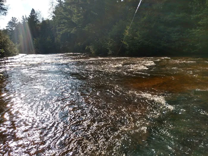 Sparrow Rapids Campground 5