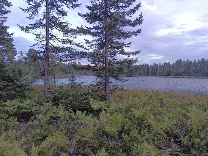 Big Lake State Forest Campground 9