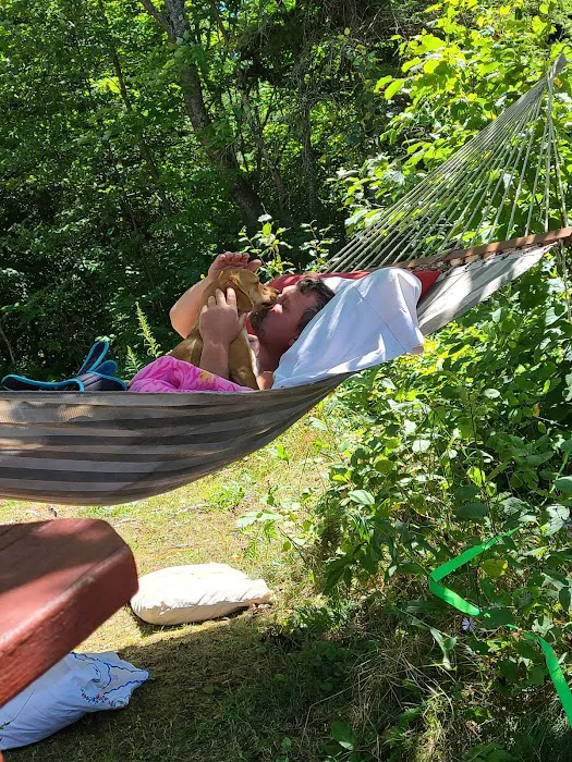 Bond Falls Flowage Camp I7 9