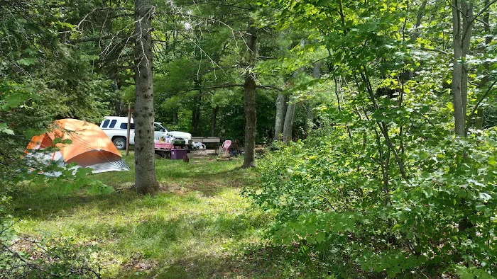 Bob Lake Campground 2
