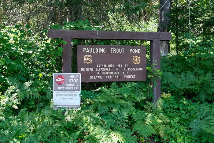Paulding Pond Campground and Picnic Area 3