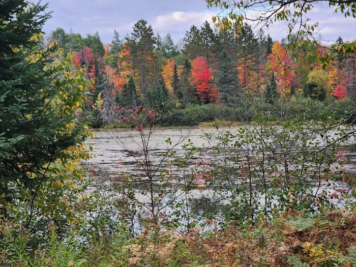Paulding Pond Campground and Picnic Area 5