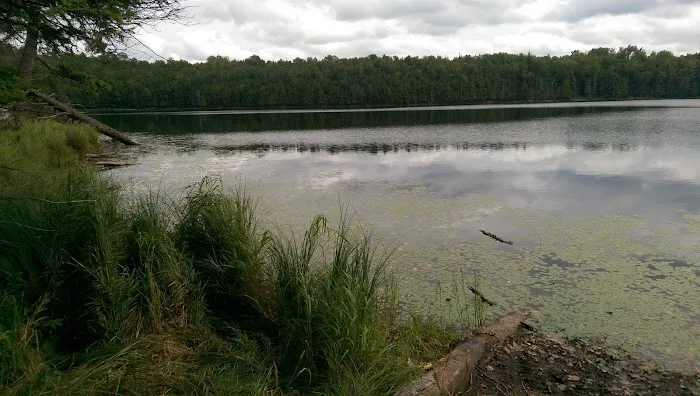 Wolf Campground 5