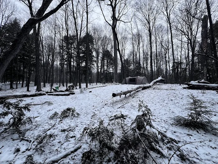 Wolf Campground 10