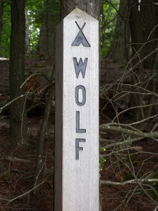Wolf Campground 3