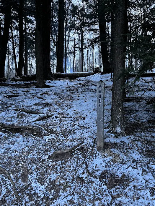 Wolf Campground 7