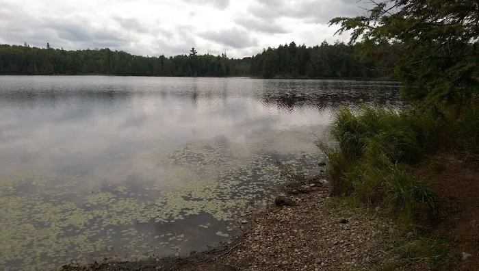 Wolf Campground 2