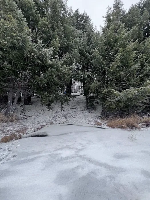 Wolf Campground 4