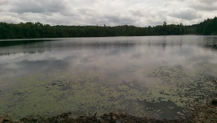 Wolf Campground 1