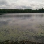 Wolf Campground