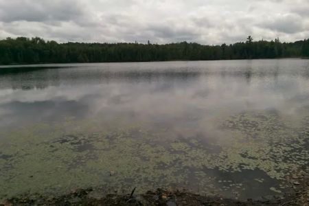 Wolf Campground