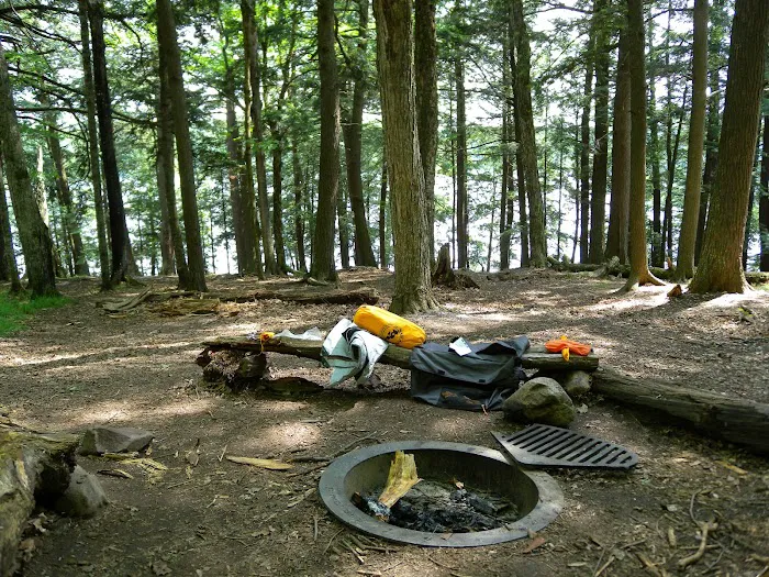 Wolf Campground 8