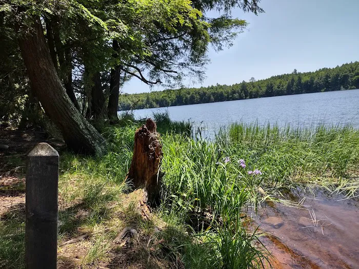 Bear Campground 1