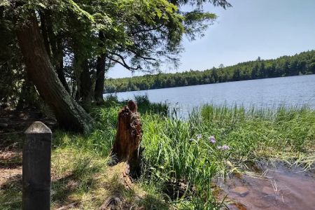 Bear Campground