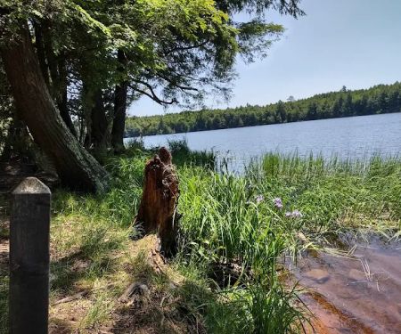 Bear Campground