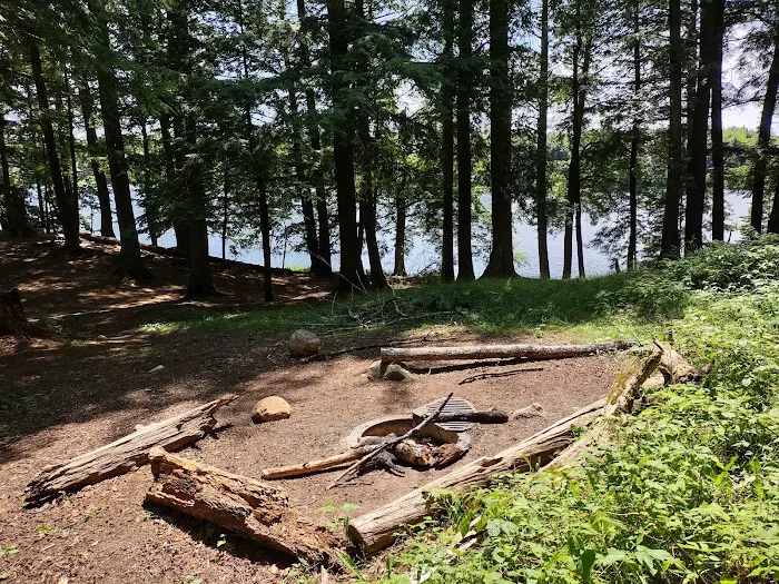 Bear Campground 2