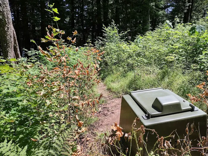 Bear Campground 3