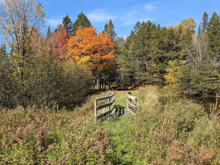 Robbins Pond Campground 4