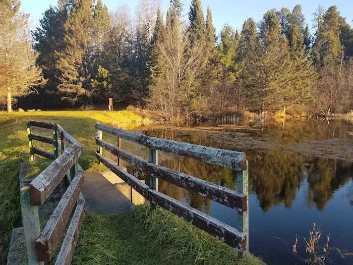 Robbins Pond Campground 3