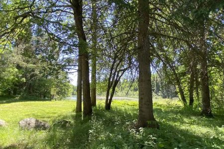 Robbins Pond Campground
