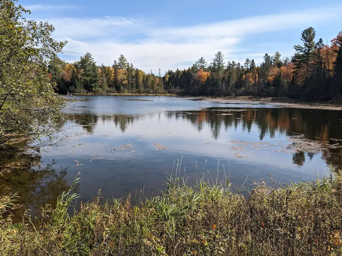 Robbins Pond Campground 6