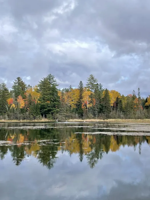 Robbins Pond Campground 5