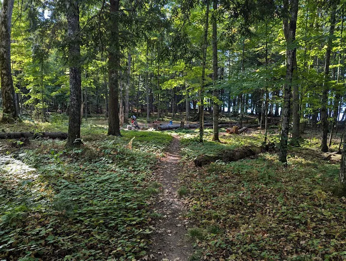Mink Campground 2