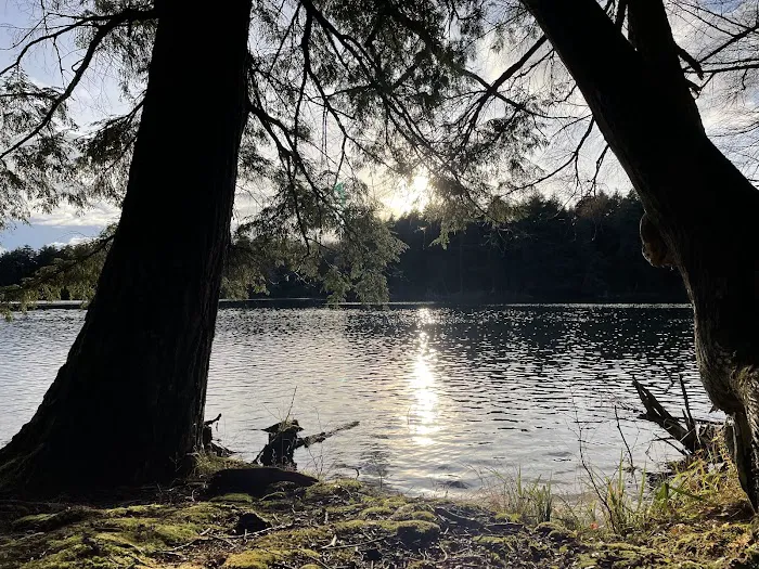 Mink Campground 4