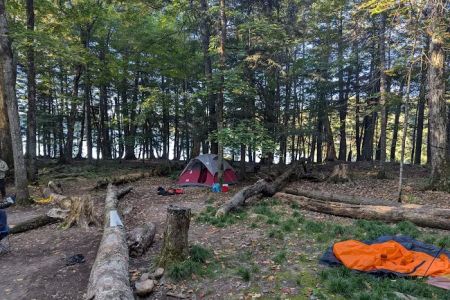 Mink Campground