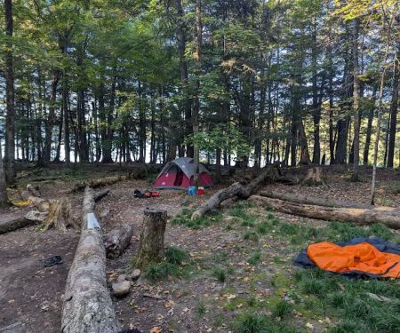 Mink Campground