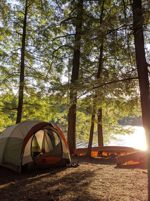 Mink Campground 5