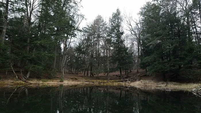 Eagle Campground 4