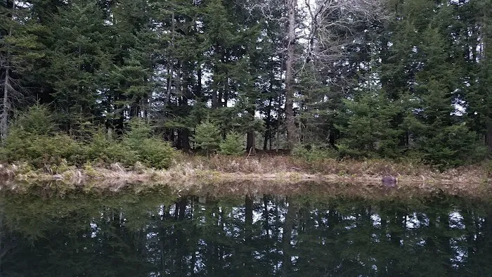 Eagle Campground 2