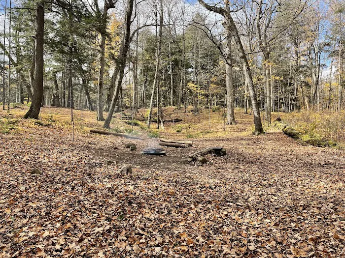 Eagle Campground 8