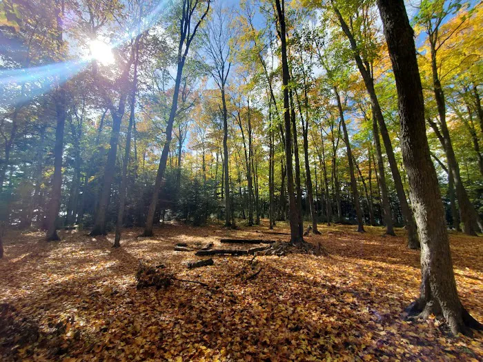 Loon Campground 2