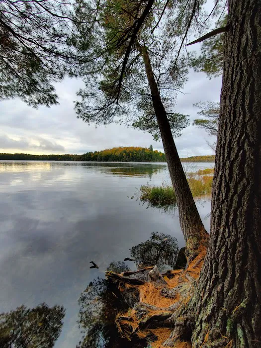 Loon Campground 1