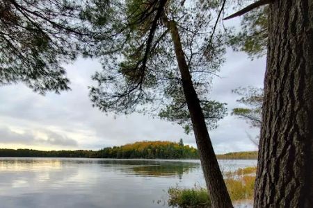 Loon Campground