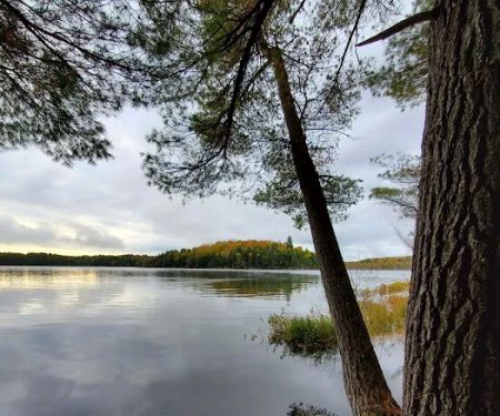 Loon Campground