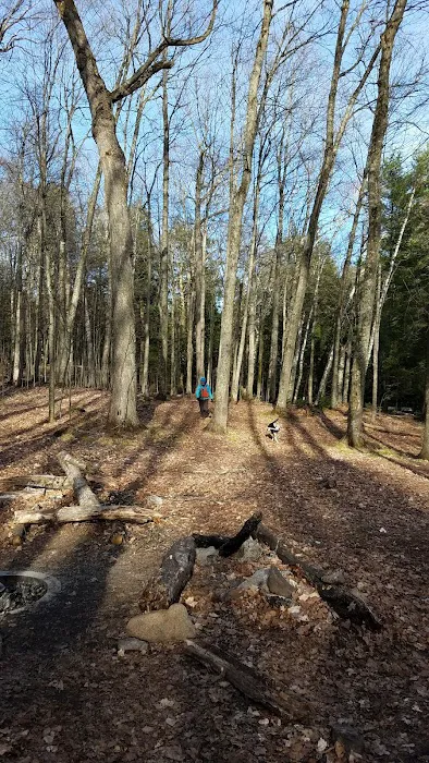 Loon Campground 10
