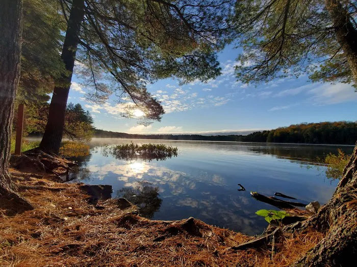 Loon Campground 3